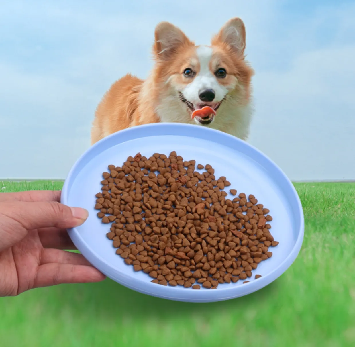 Dog Flying Disc Outdoor Sport 5