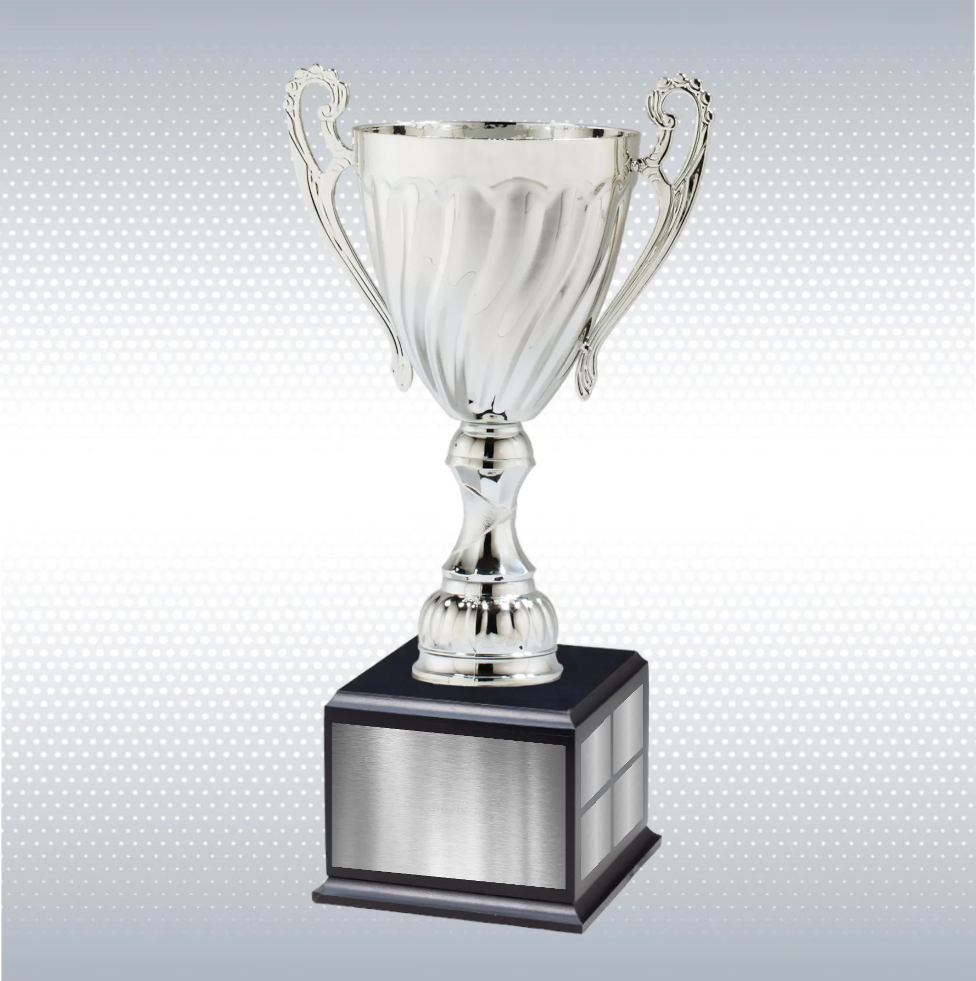 Silver Metal Cup w/ Black Perpetual Base 2