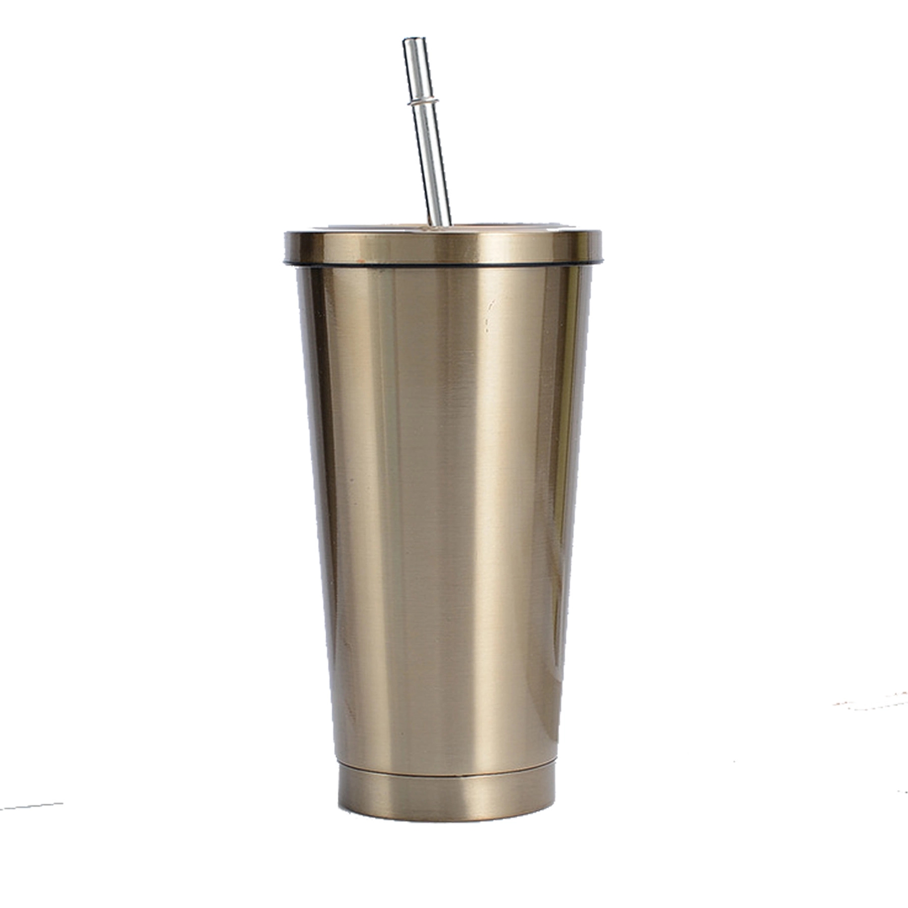 Insulated Stainless Steel Water Bottles with Straw 4
