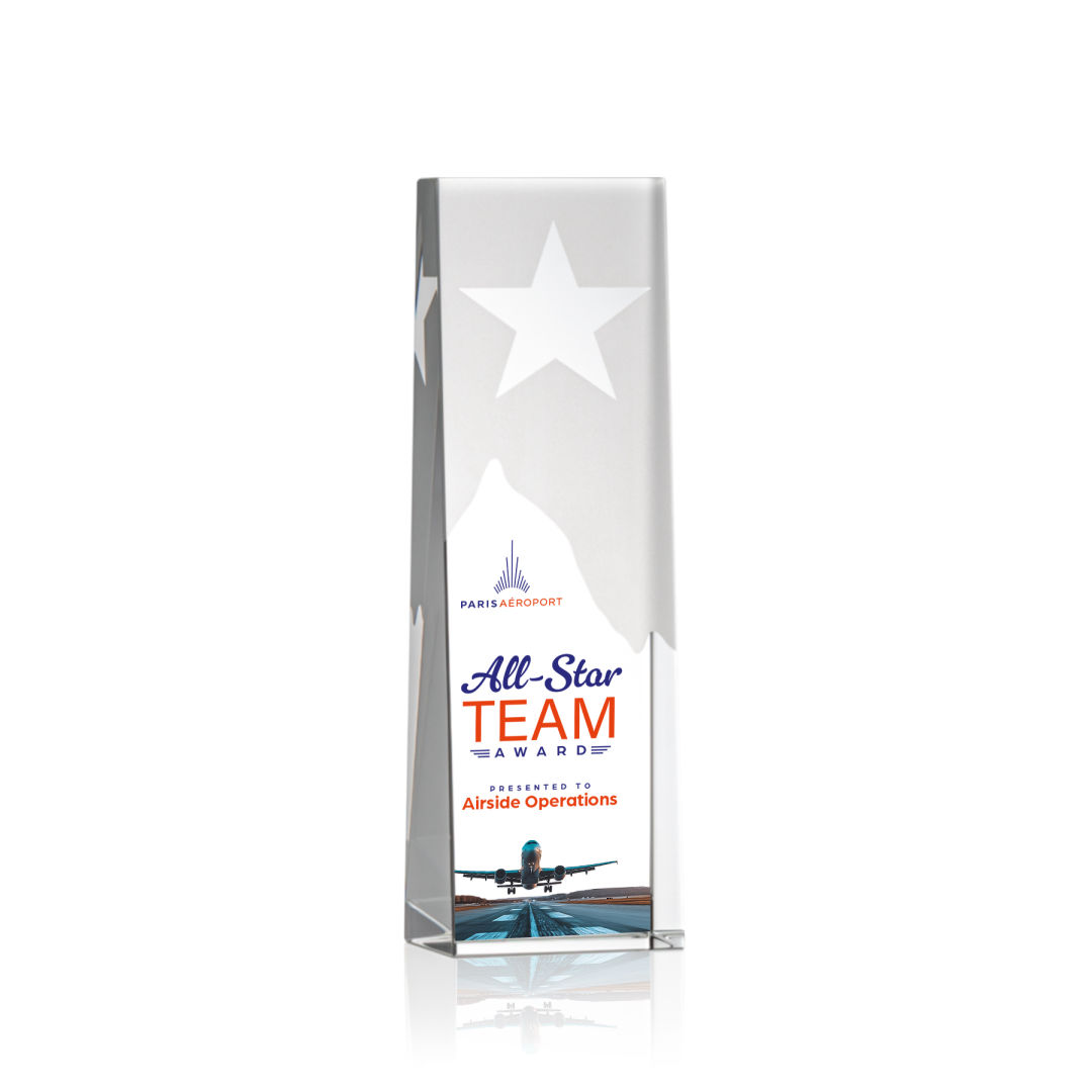 Artemus Star VividPrint™ Award 8