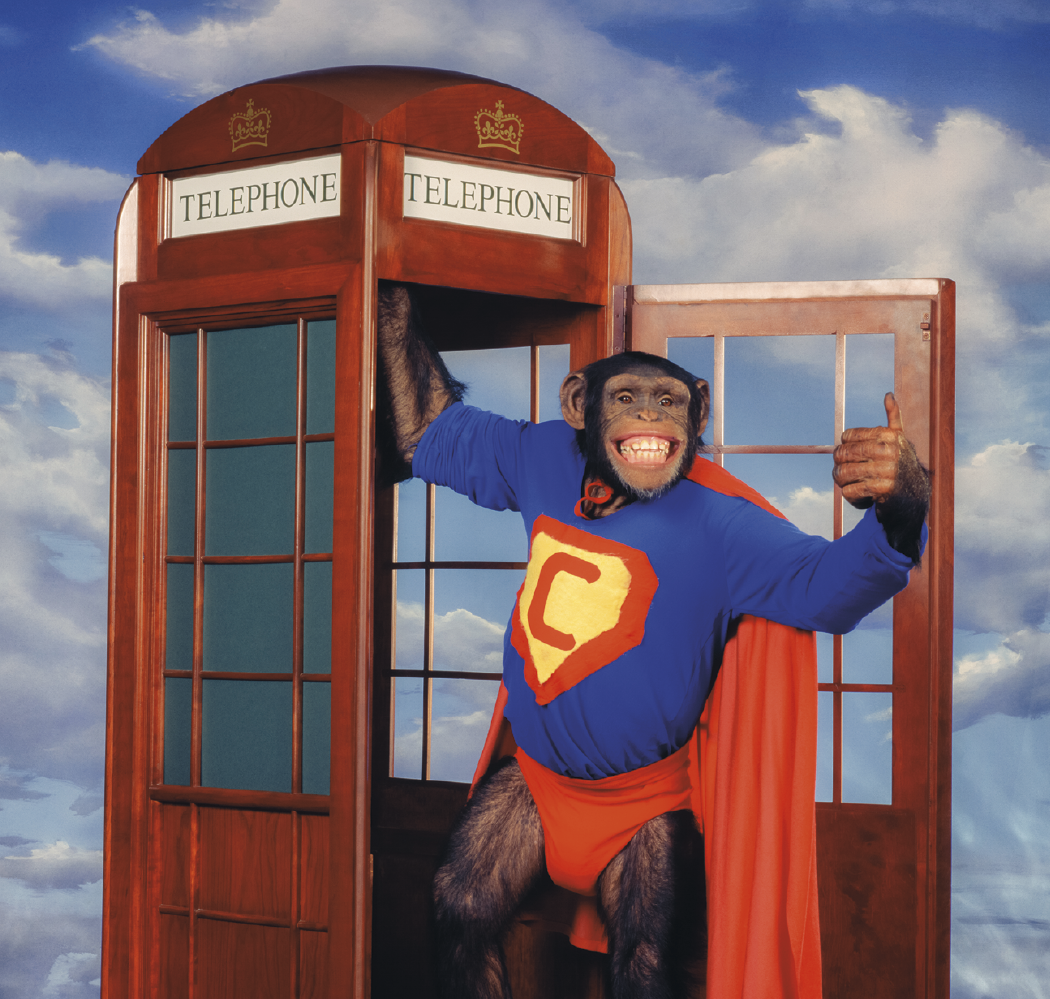 Triumph® Calendars Monkey Business Calendar 34