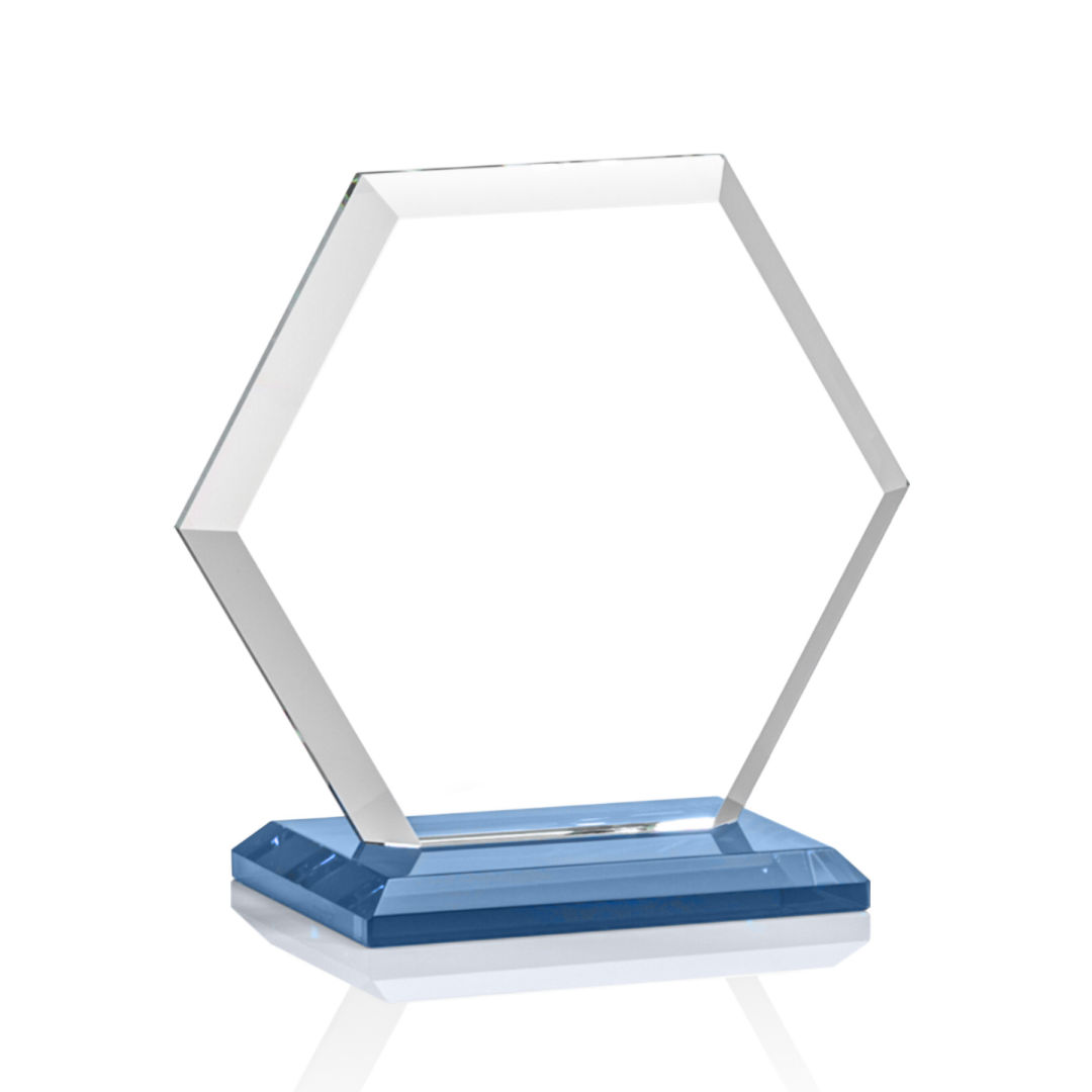 Barnett Award - Sky Blue 2