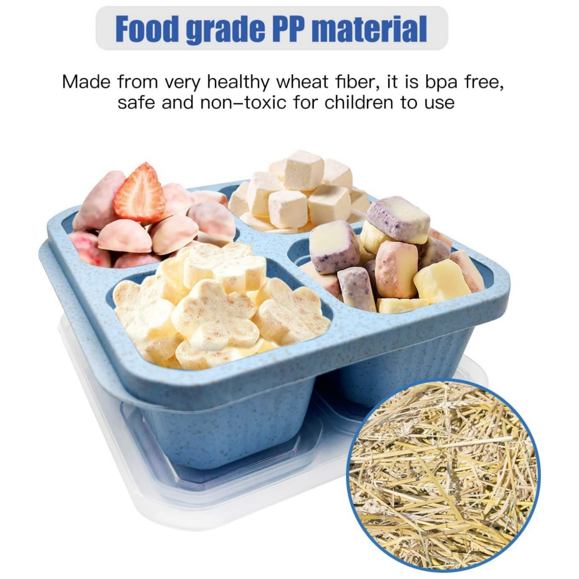 Bento Snack Box 3