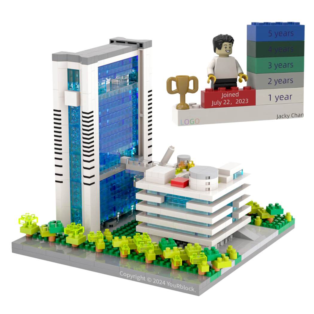 BuildiFull Custom Block Sets MOQ 100 7