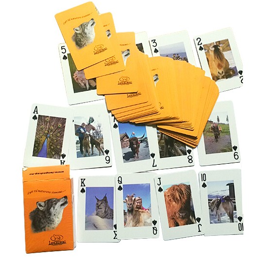 Playing Cards - Poker Size 2