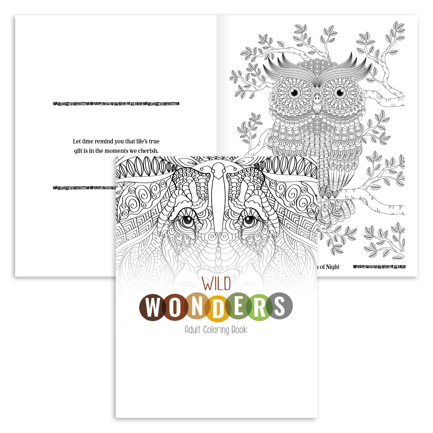 Good Value™ Wild Wonders Adult Coloring Book 4