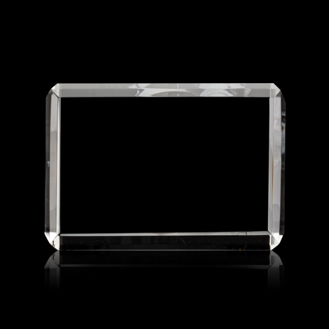 Fulton 3D Award - Horizontal 39