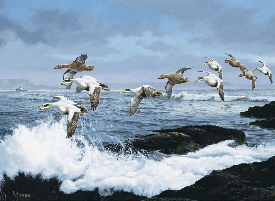 HotLine® Products Maass Wildfowl® Executive Calendar 17