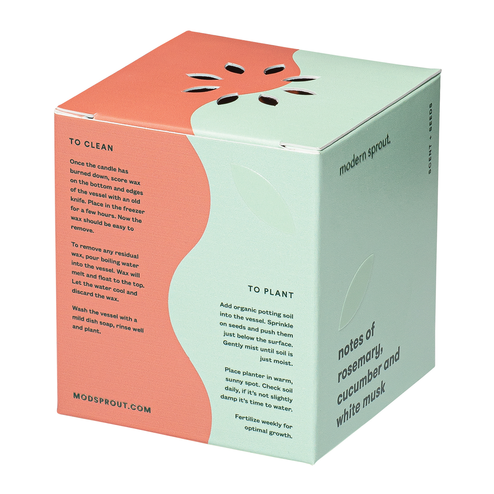 Modern Sprout® Rooted Candle 35
