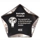 7 Inch Clear/Black Luminary Star Acrylic Trophy 2