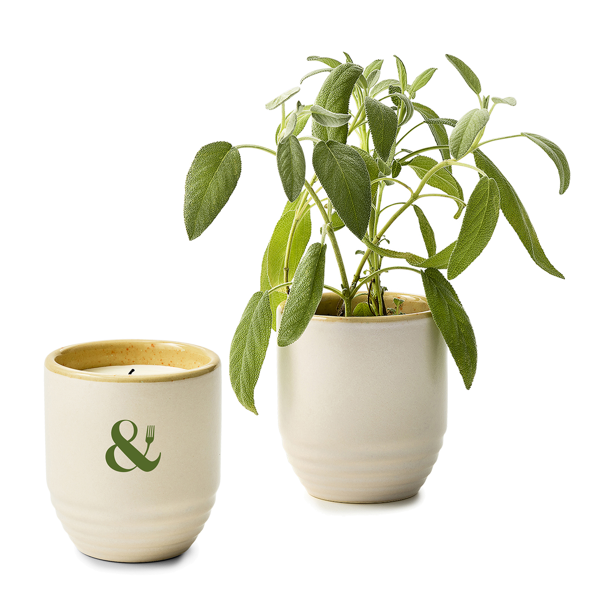 Modern Sprout® Garden Vibes Candle/Planter 68