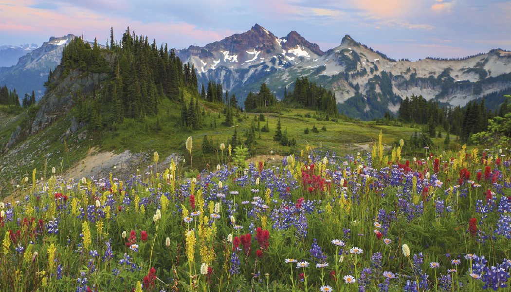 Triumph® Calendars American Splendor with Date Blocks Calendar 17