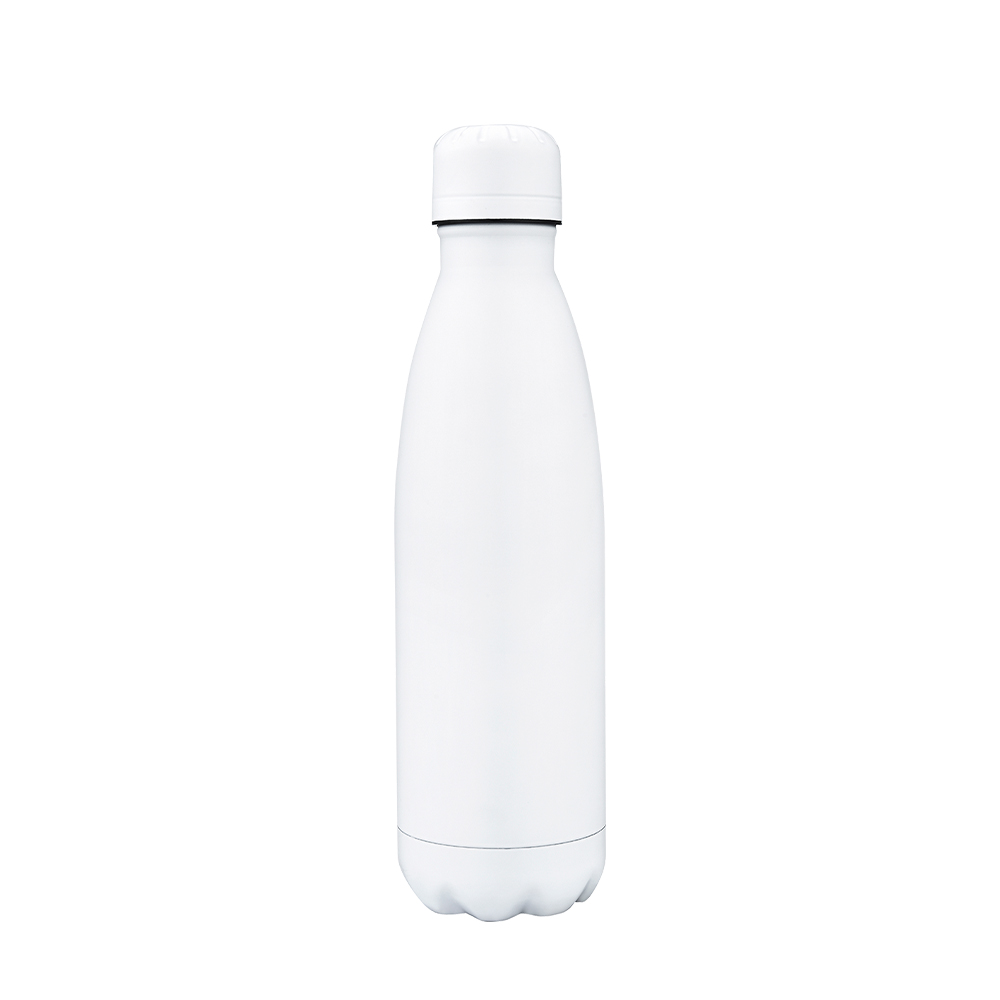 Slate 17oz Vaccuum Bottle