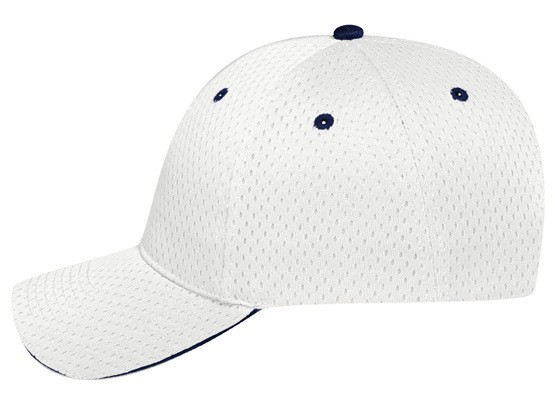 OTTO CAP® 6 Panel Low Profile Baseball Cap 49