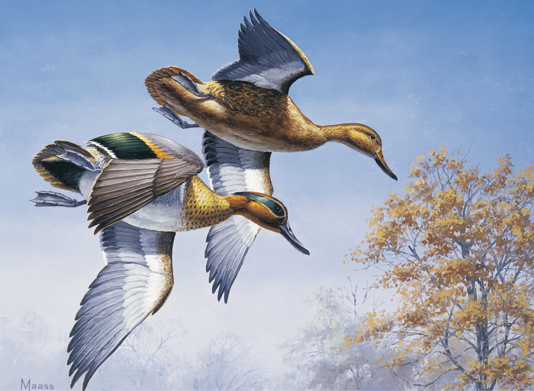 HotLine® Products Maass Wildfowl® Executive Calendar 18