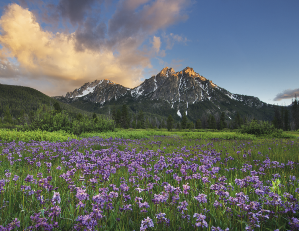 Good Value™ Landscapes of America - Stapled Calendar 44