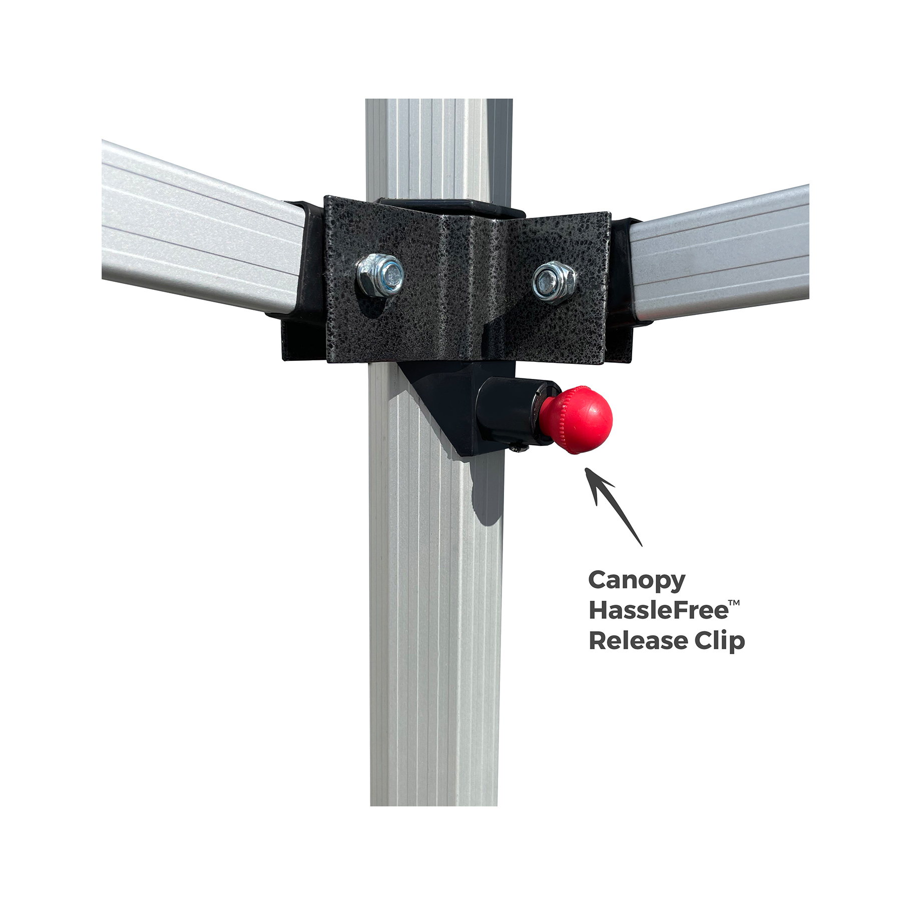 10x10 Platinum LifeTime Tent Full Color Canopy and Backwall 7