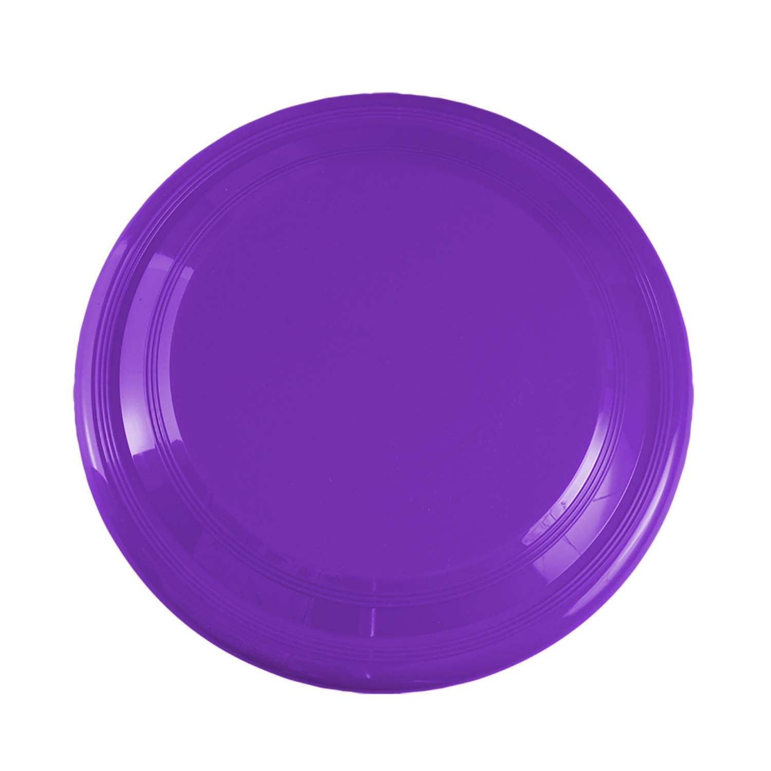 9 inch Flying Disc 17