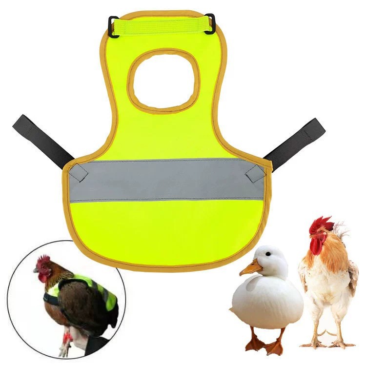 Pet Reflective Vest Chicken Hen Poultry Saddle 4