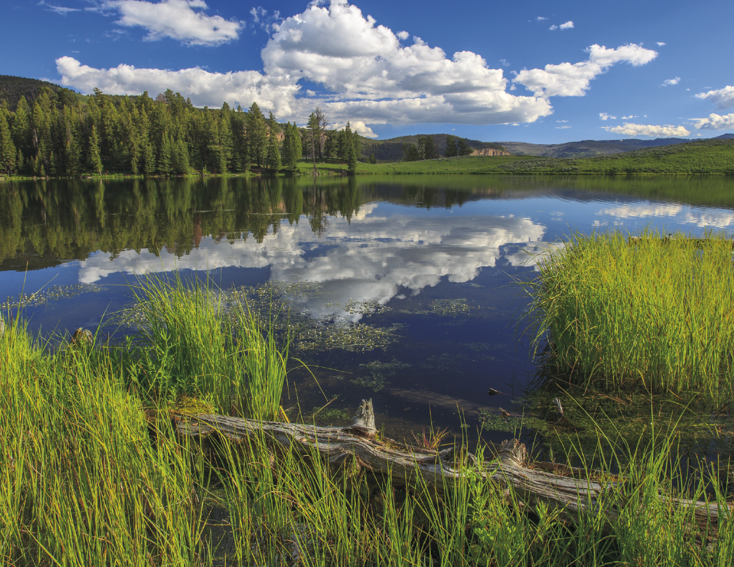 HotLine® Products Catholic Reflections Appointment Calendar - Stapled 36