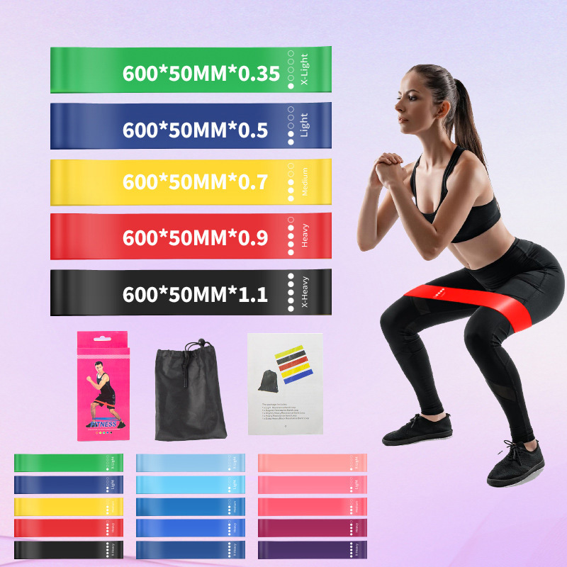 Resistance Loop Exercise Bands with Instruction Guide and Carry Bag, Set of 5 10