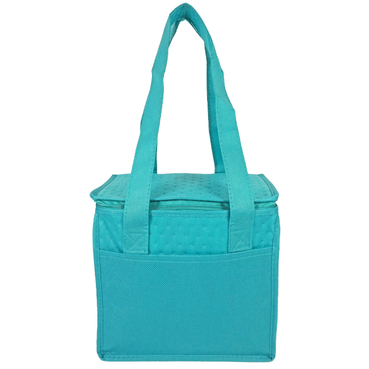 Denali Insulated Convenient Cooler 8