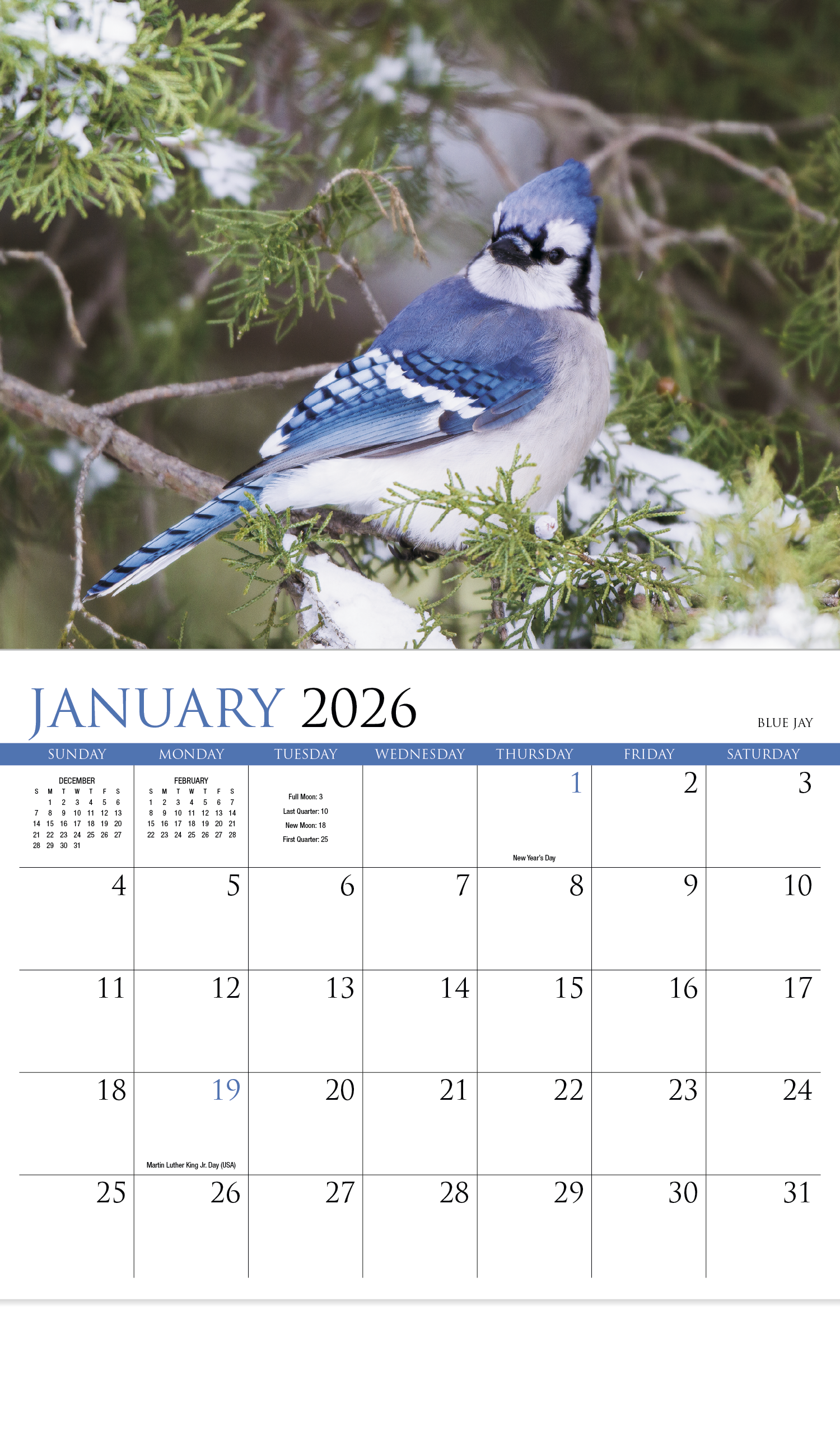 HotLine® Products Songbirds Appointment Calendar - Stapled 25