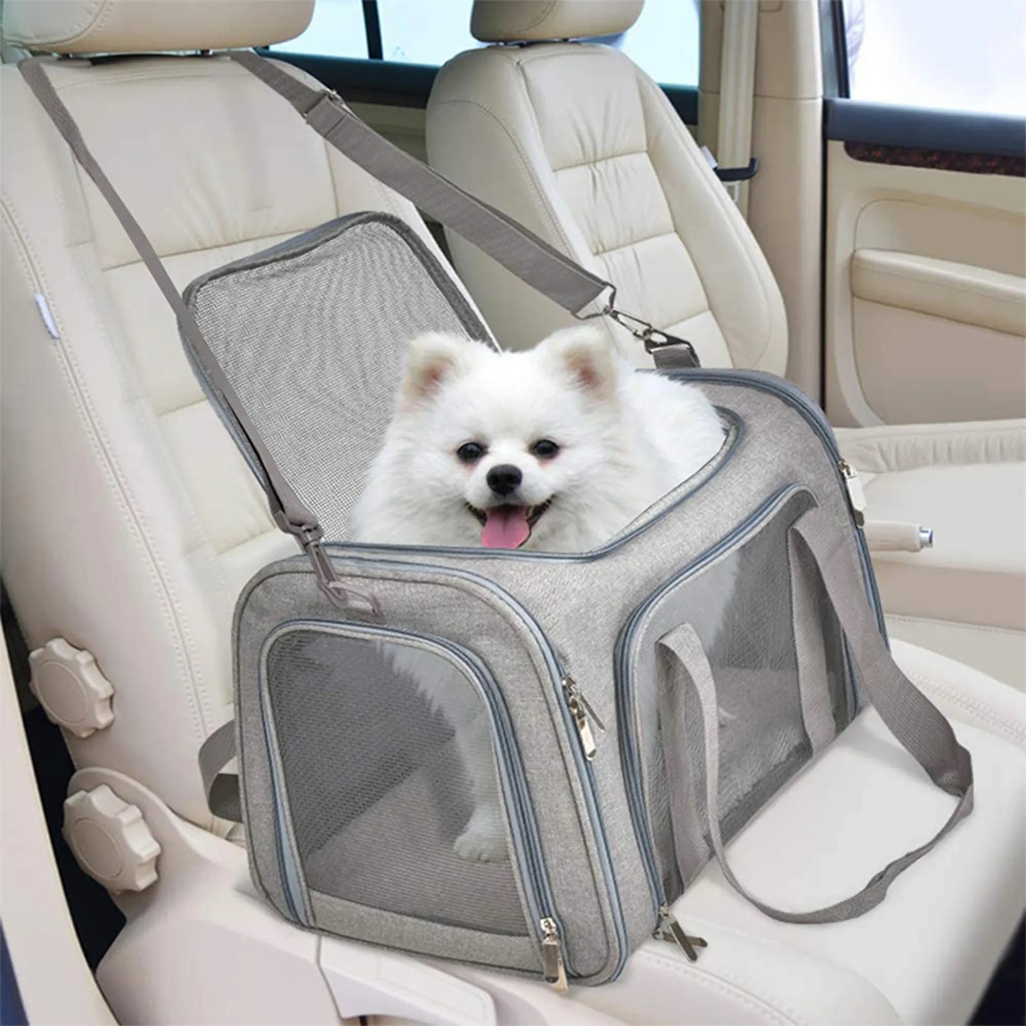 Airline Approved Cat Carrier 2