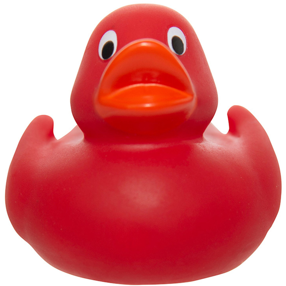 Lil' Rubber Duck 42