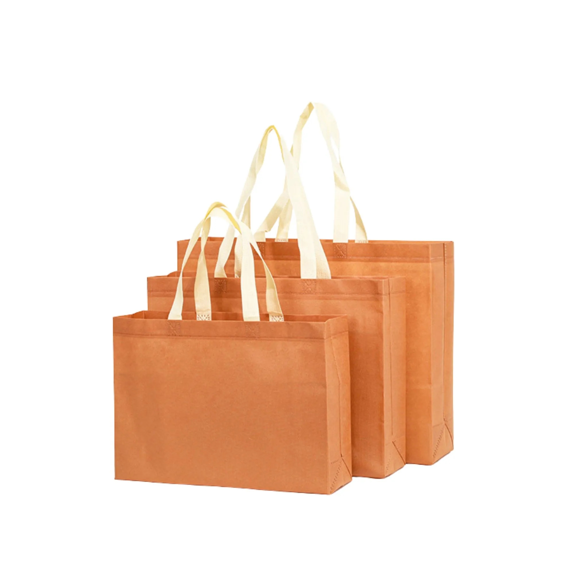 Reusable Eco Friendly Shopping Bag 13