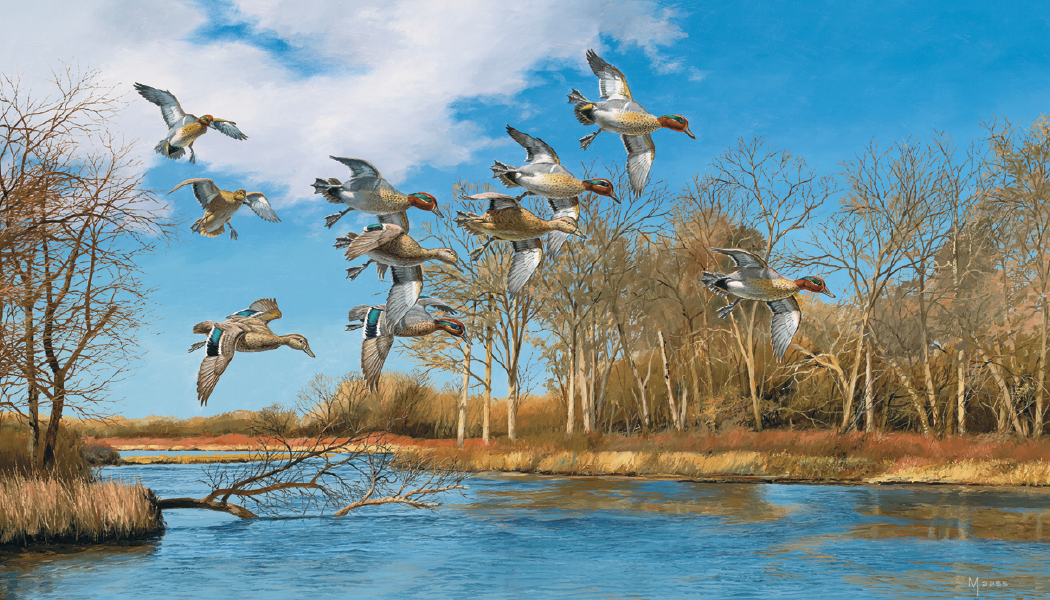 Triumph® Calendars North American Waterfowl Calendar 20