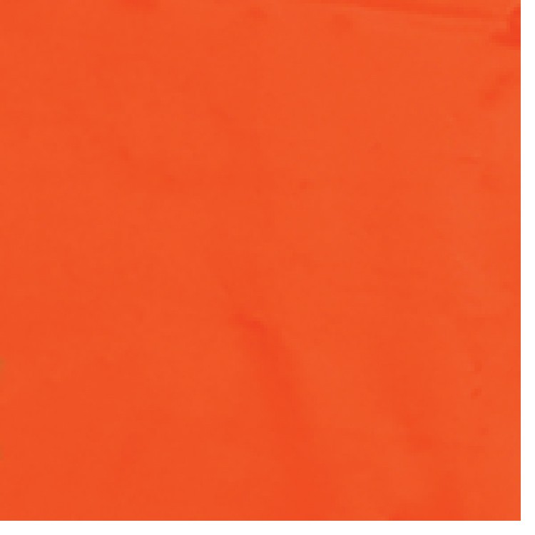Orange LDPE Fold Over Die Cut Bag - Halloween 3
