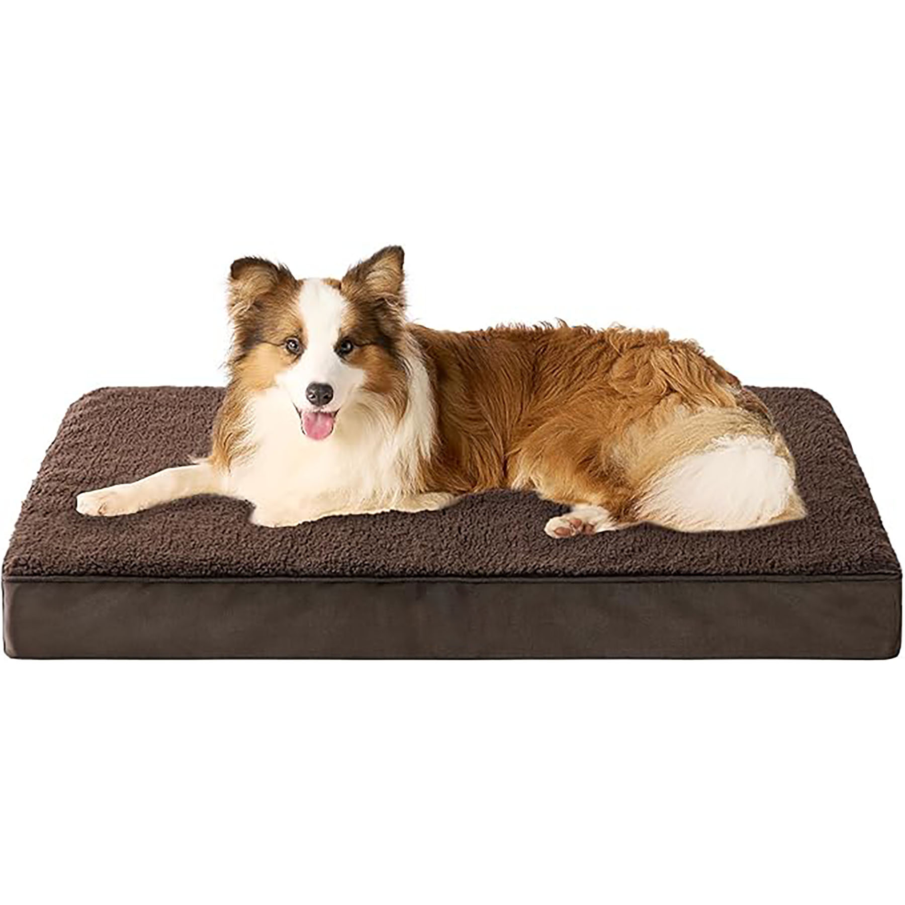 Dog Beds 3