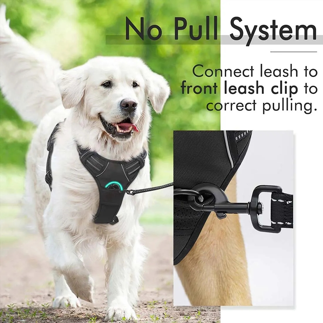 No Pull Adjustable Dog Harness 6
