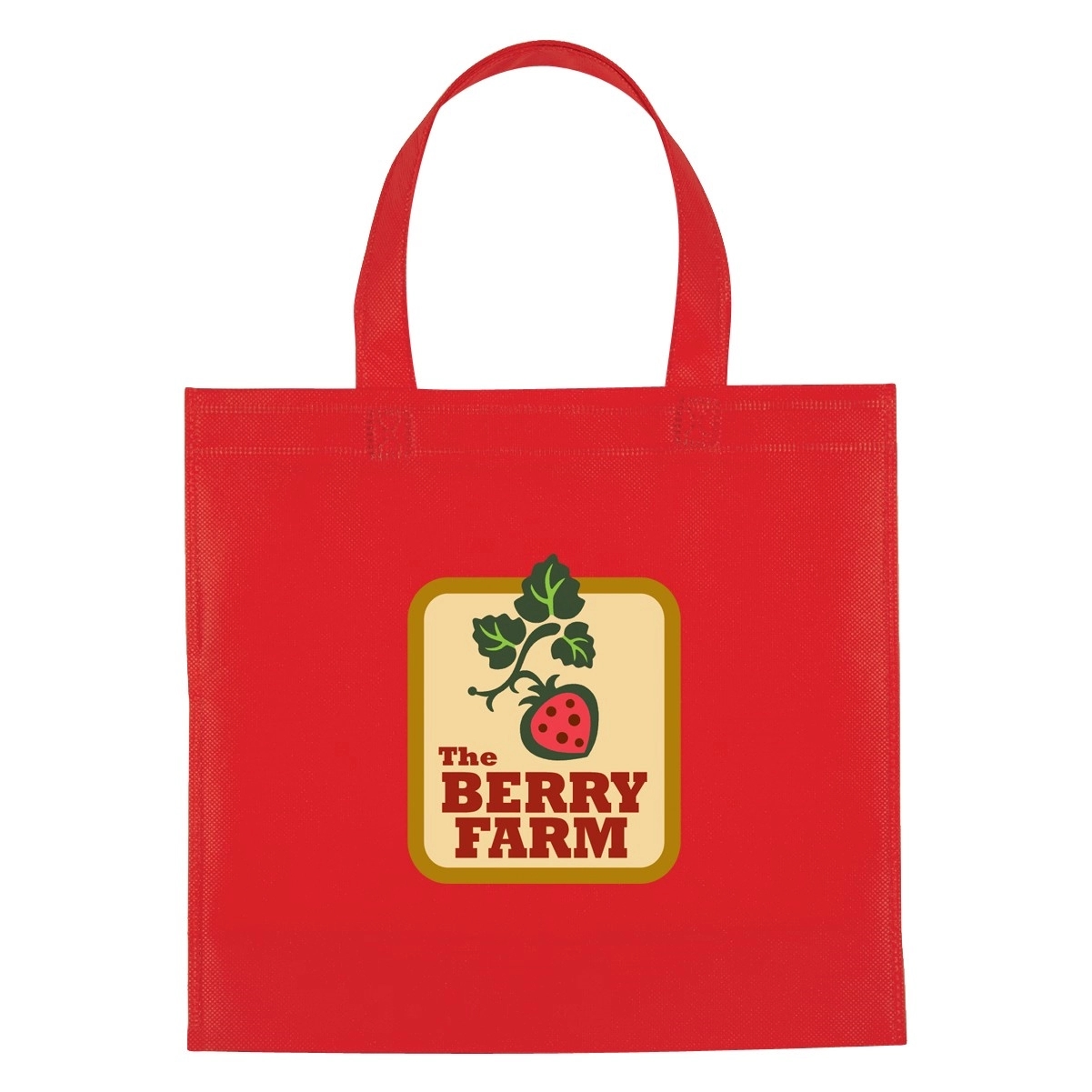 Non-Woven Mini Brochure Tote Bag 4