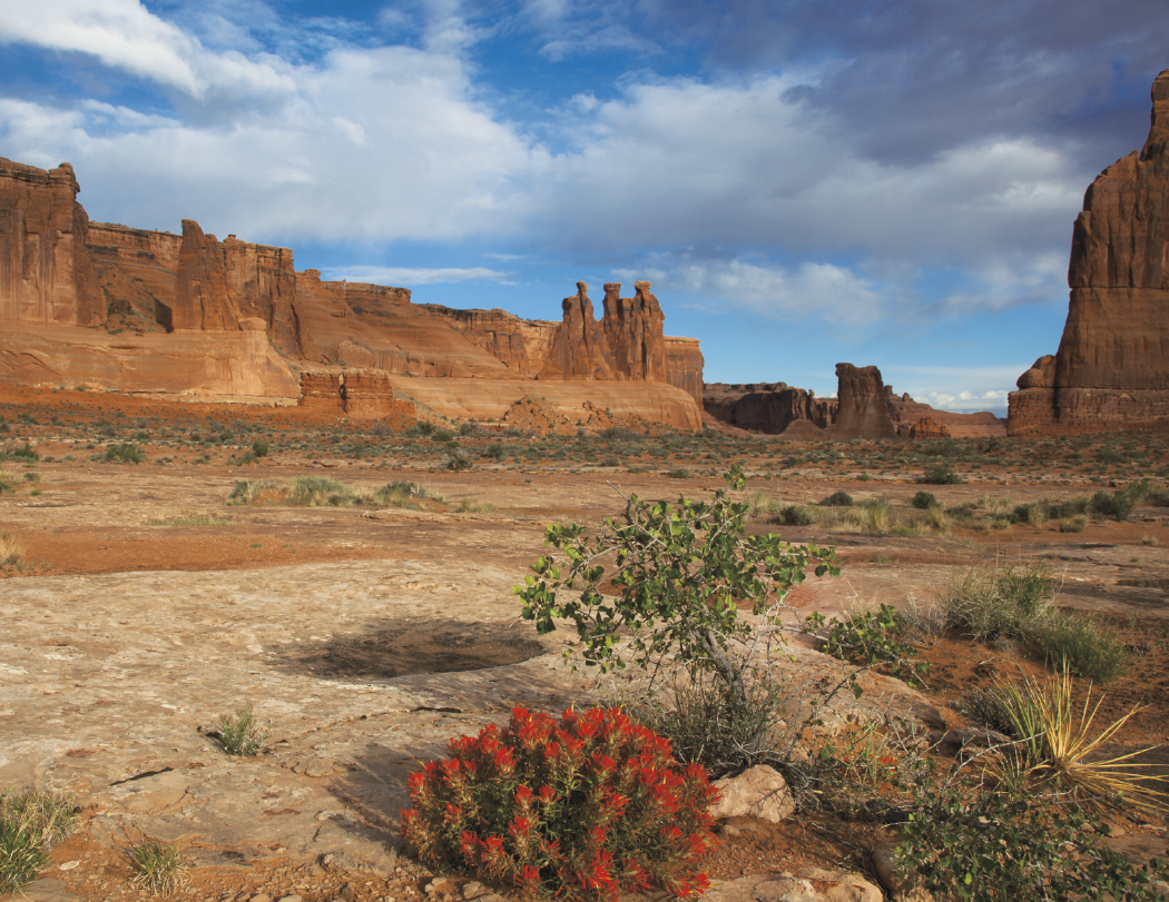 HotLine® Products Catholic Reflections Appointment Calendar - Stapled 46