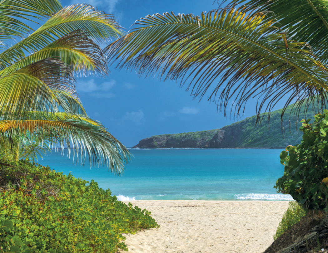 Triumph® Calendars Beaches Calendar 54