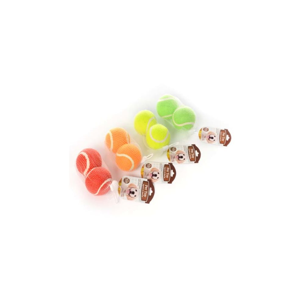 Pet Toy Balls - Assorted 2 Pack 2