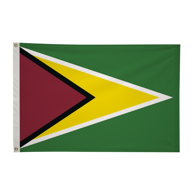 2' x 3'International Flag 189