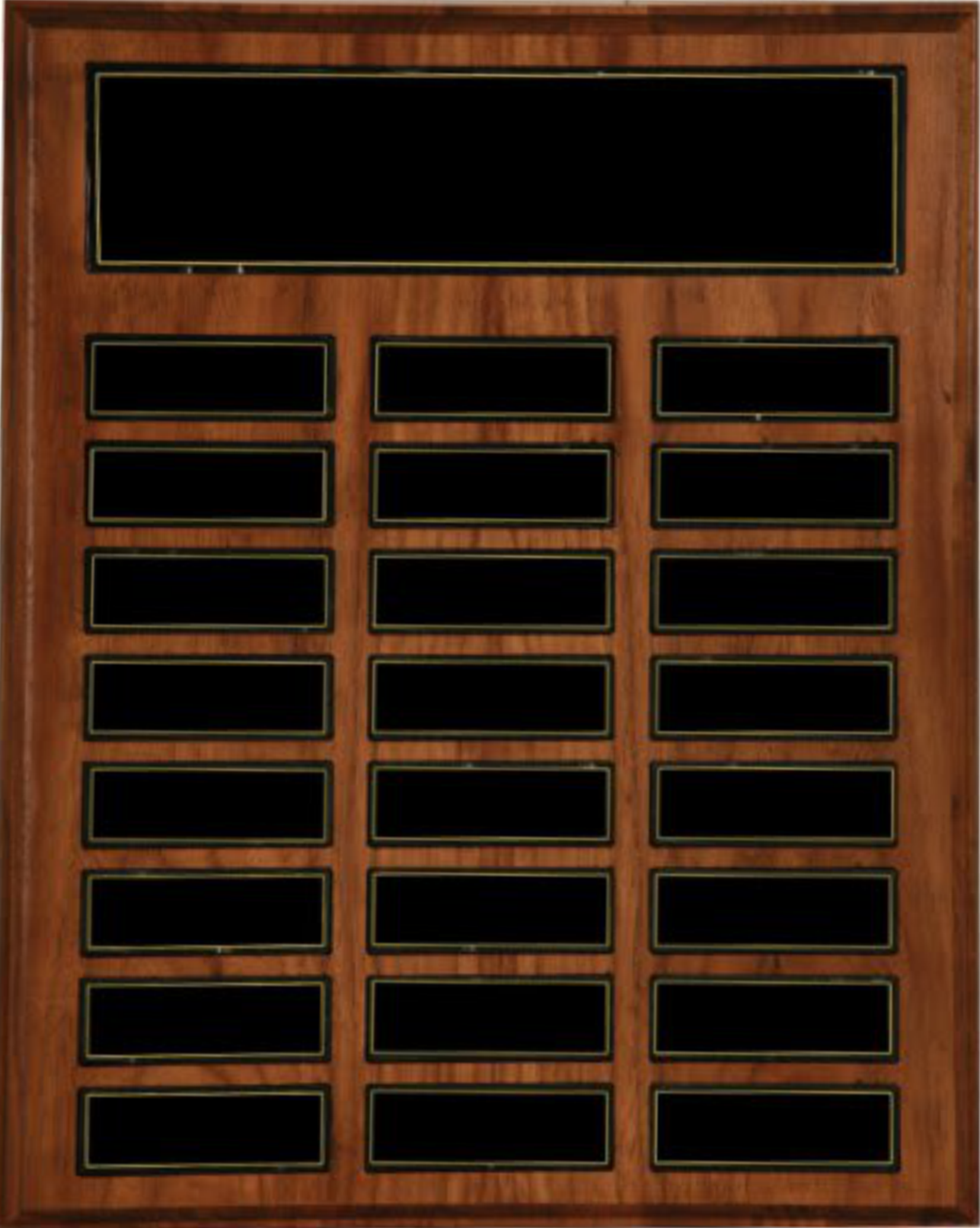 24 Plate Recognition Pocket Perpetual Plaque (12"x15") 2