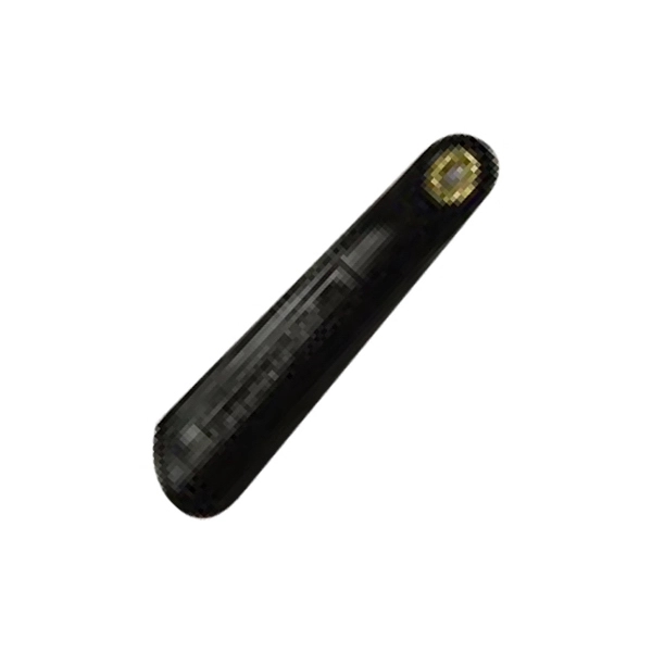 Leather Shoehorn 2