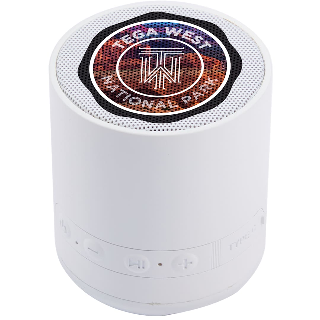 BuzzTurn Recycled Bluetooth Speaker 48