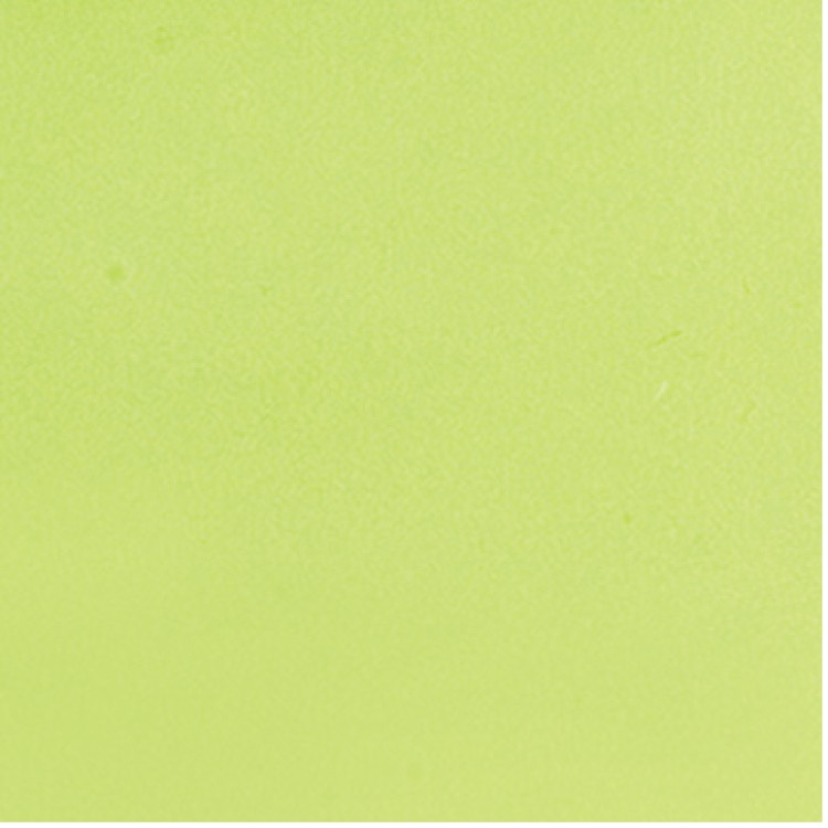 Non Reinforced HDPE Frosted Die Cut Bag 8