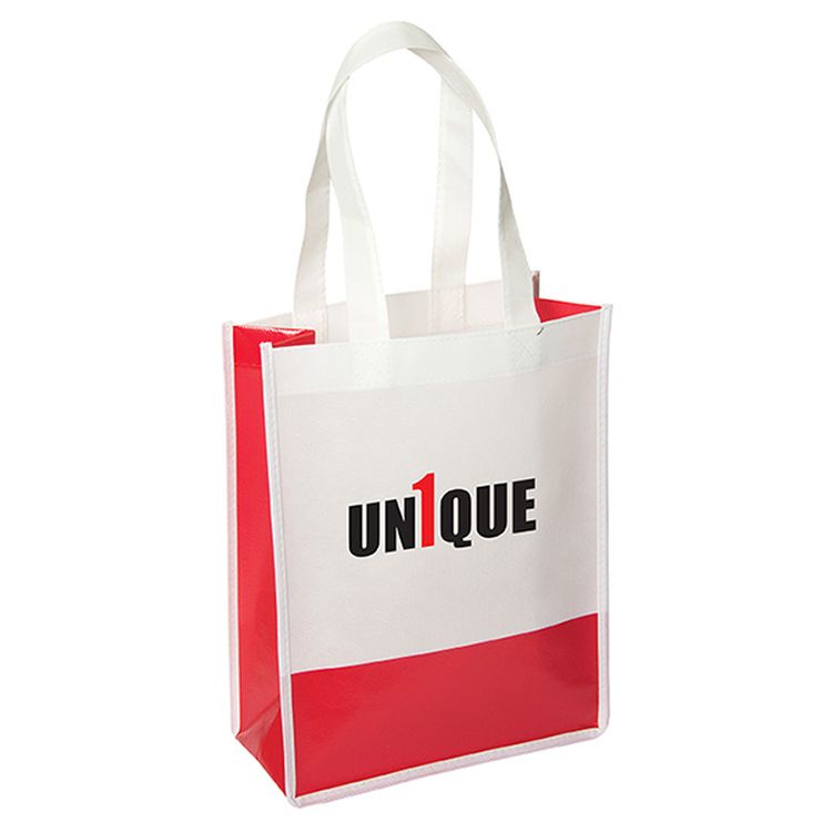 Andover Way Small Laminated Bag 2
