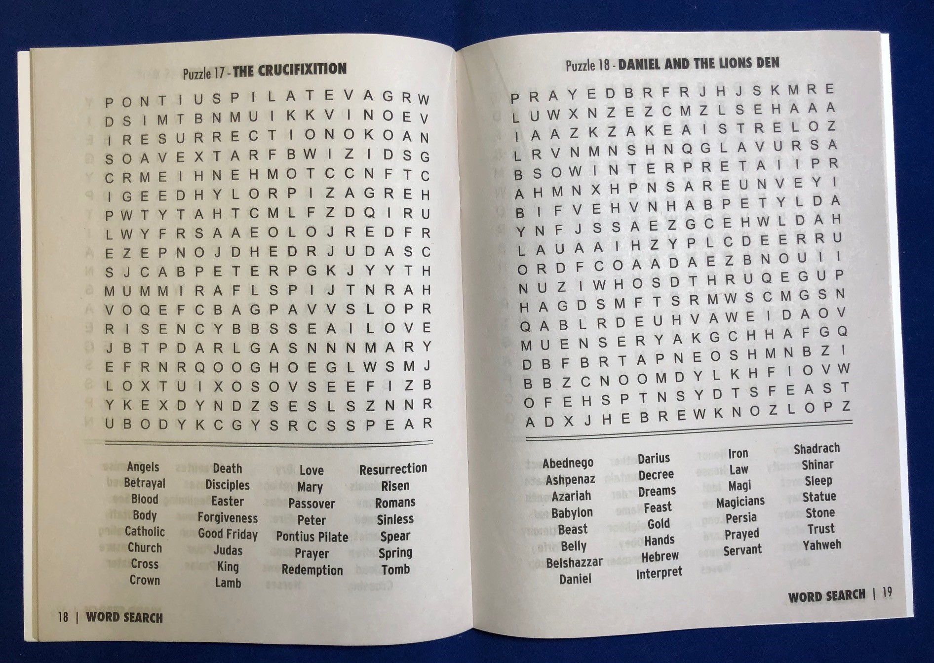 PUZZLE BOOK - Faith: Large Print Biblical Word Search Book 1