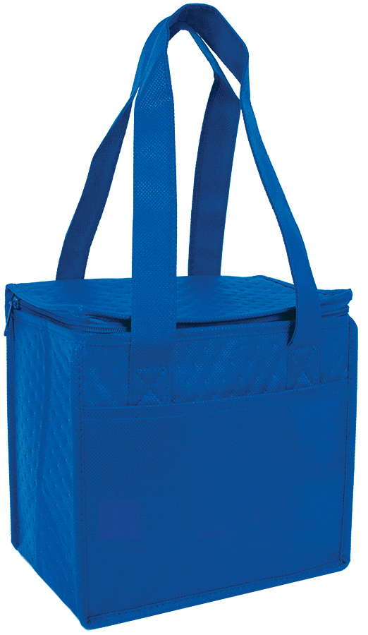 Compact Snack Pack Cooler