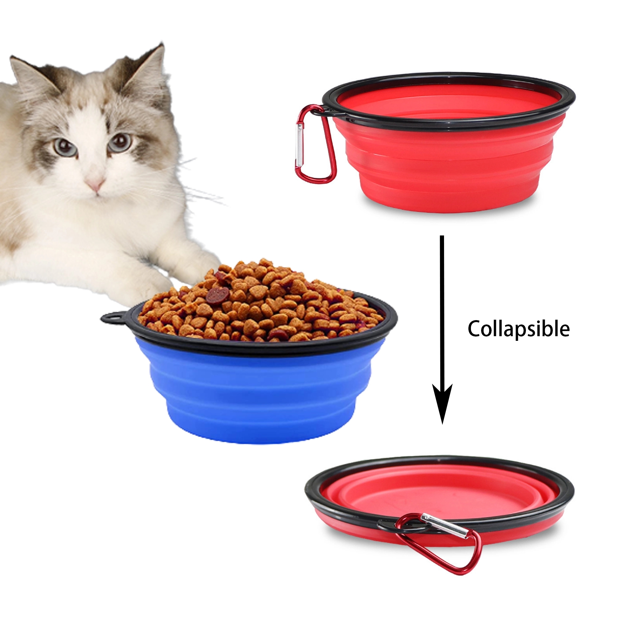 Collapsible Dog Bowl W/ Carabiner 6
