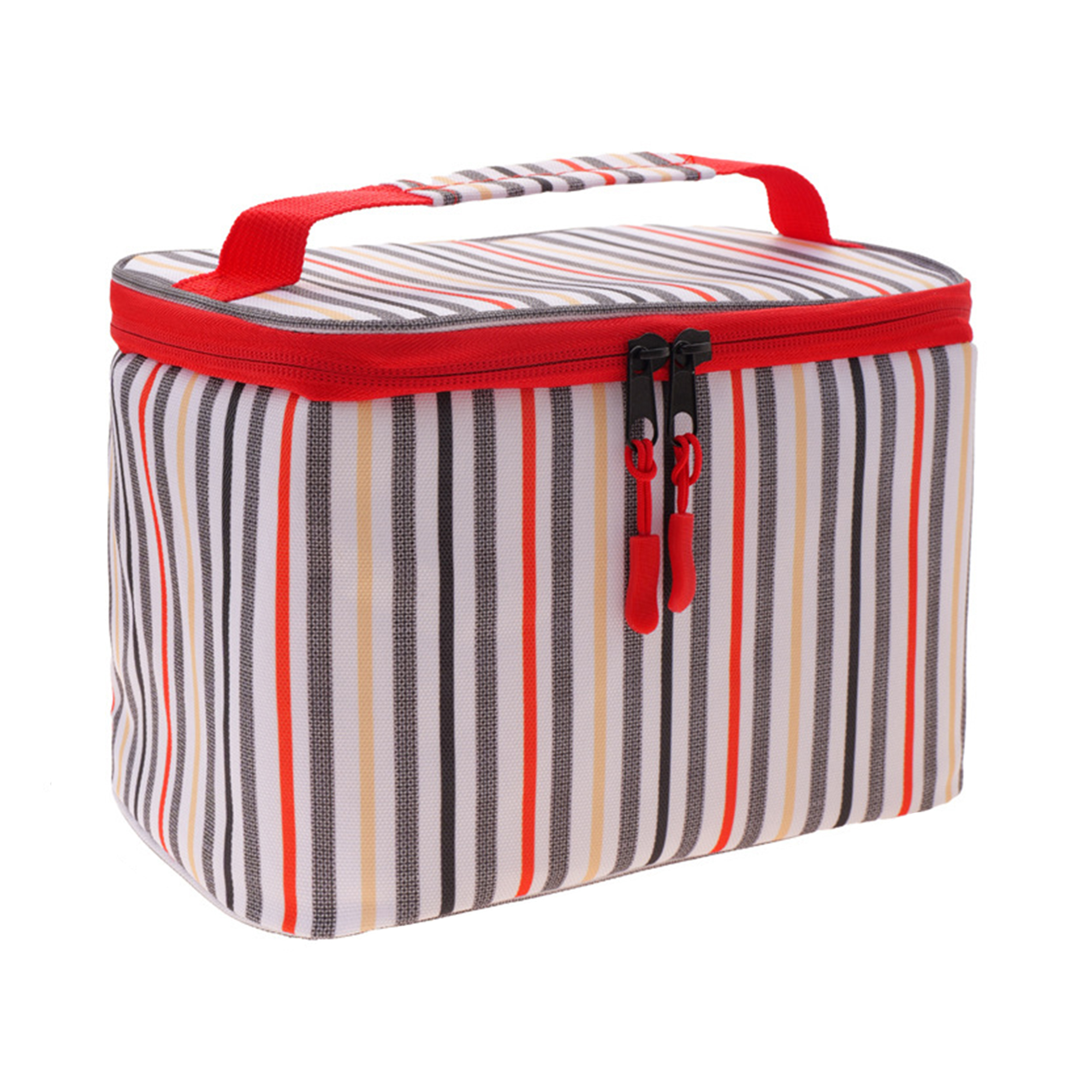 6 Cans Insulated Lunch Cooler Portable Bag 6