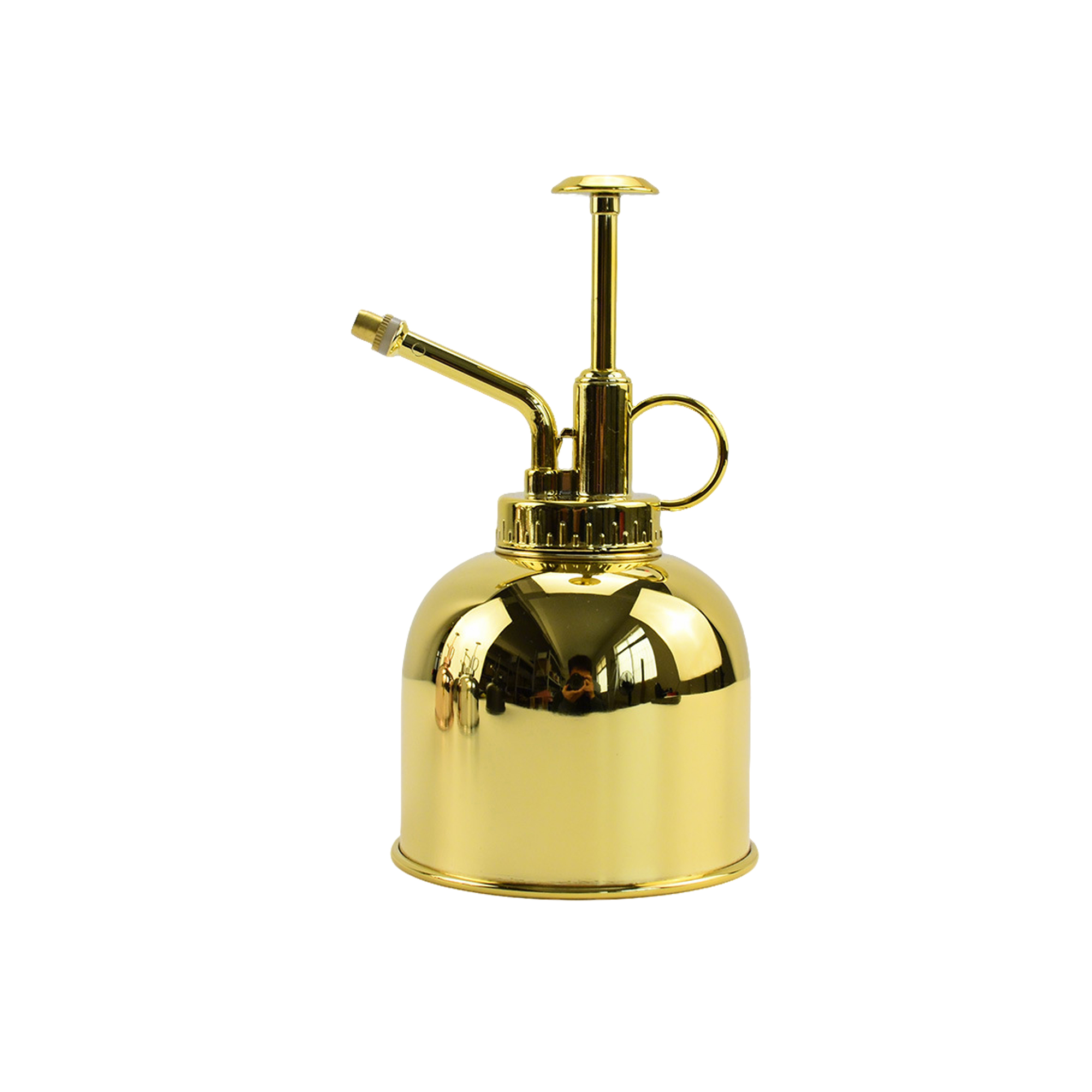Stainless Steel Fine Mist Plant Mister 5