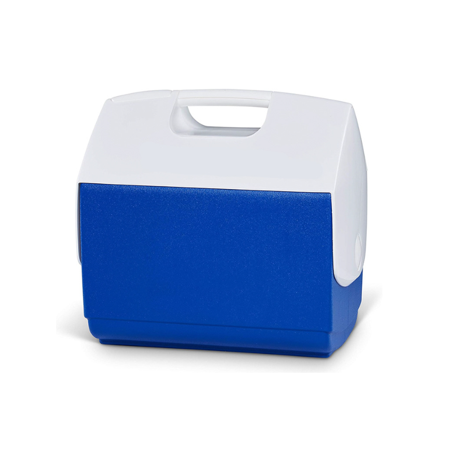 Hard Shell Plastic Insulated Box Food And Beverage 1